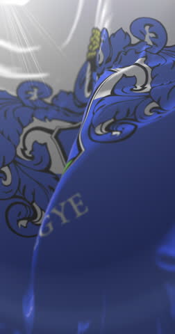 Flag of Vas County, Hungary. Loop. 4K Vertical