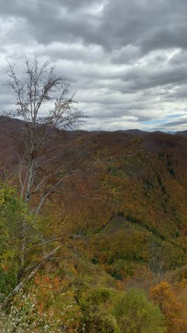 Autumn mountain landscape with colorful foliage under cloudy sky, suitable for use as background video