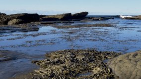 Slow motion landscape of waves crashing into a tidal rock pool with seaweed and rocky boulder formations in the ocean bay channel inlet at Bateau Bay Central Coast, Australia travel outdoors nature - Powered by Shutterstock - Get 15% off with code: PIKWIZARD15