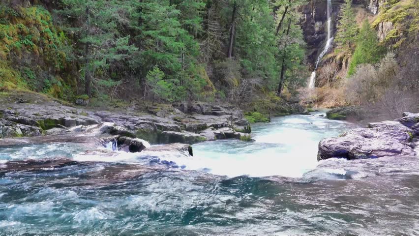 Scenic waterfall flowing into rushing river in green forest
