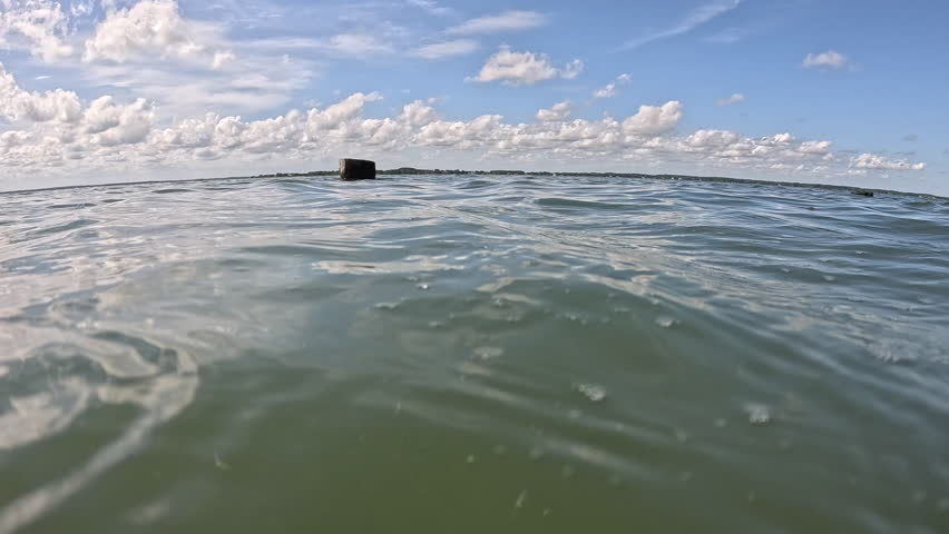 Camera at water surface of Sinepuxent Bay with loons on posts. Camera submerges.
