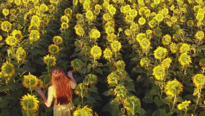 Woman Red Hair Yellow Dress Sunflower Field Summer Nature Outdoors Sunlight Happiness Beauty Idyllic Scene Golden Hour Walking Tall Plants