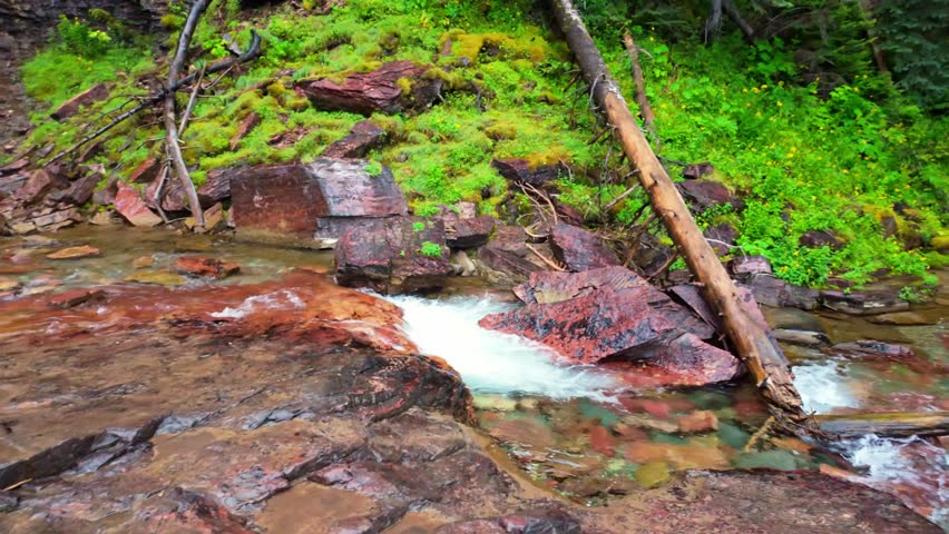 A close-up view captures the scenic Virginia Waterfall on a summer day in Glacier National Park