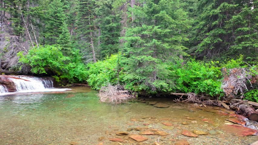 A close-up view captures the scenic Virginia Waterfall on a summer day in Glacier National Park