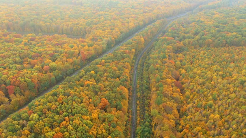 A drone flies over a colorful autumn forest through which a highway and a railway track pass. Cinematic footage from a bird