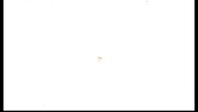 Fiery fight animation with dynamic orange flames for intense visual impact - Powered by Shutterstock - Get 15% off with code: PIKWIZARD15