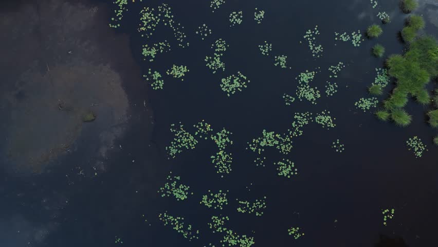 Short Bird´s Eye View Dark Blue Water Relfection of some Clouds