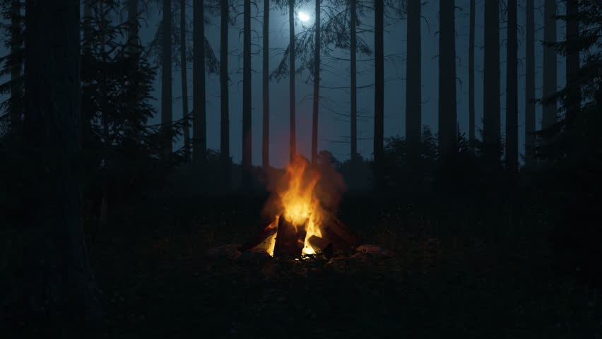 Seamless Loop of a Campfire in the Woods at Night