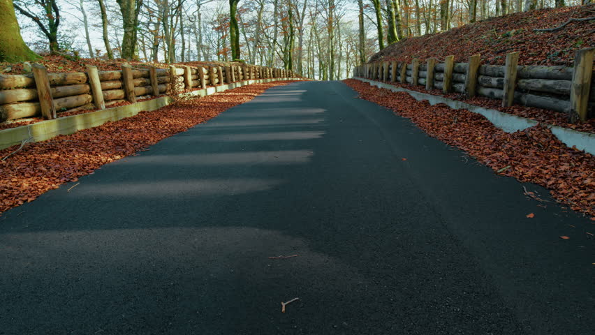 Mountain Road With Wooden Bulkheads To Retain The Soil