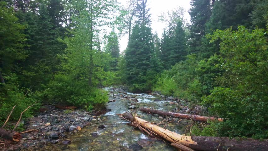 A scenic view captures the beauty of Grotto Falls within the Custer Gallatin National Forest on summer day