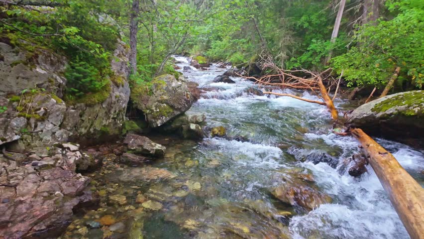 A scenic view captures the beauty of Grotto Falls within the Custer Gallatin National Forest on summer day