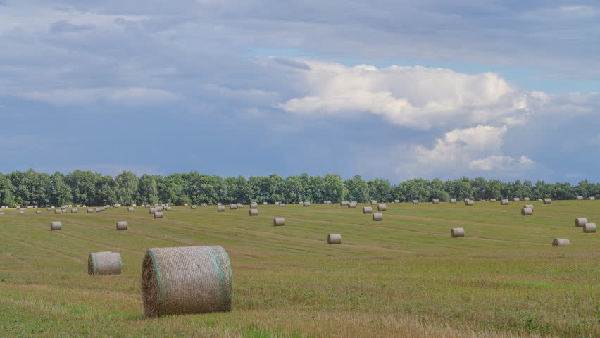 A Beautiful Scenic Pastoral Landscape Featuring Rolling Hay Bales Across the Fields