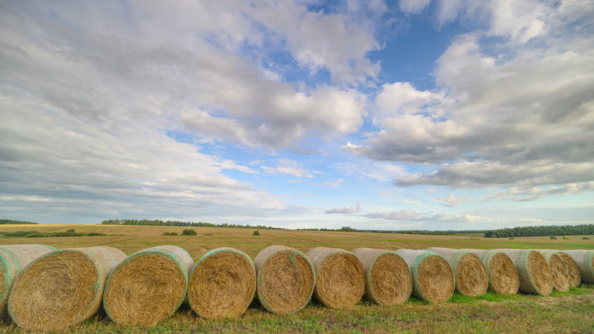 Golden Hay Bales Resting Beneath a Beautiful and Picturesque Sky Extending Above Them