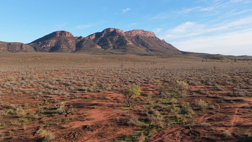 Low reverse drone shot reveals solitary tree with rugged mountains in Flinders Ranges, South Australia