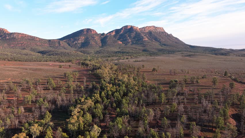 Scenic aerial of Flinders Ranges with rugged cliffs, trees and outback terrain, South Australia