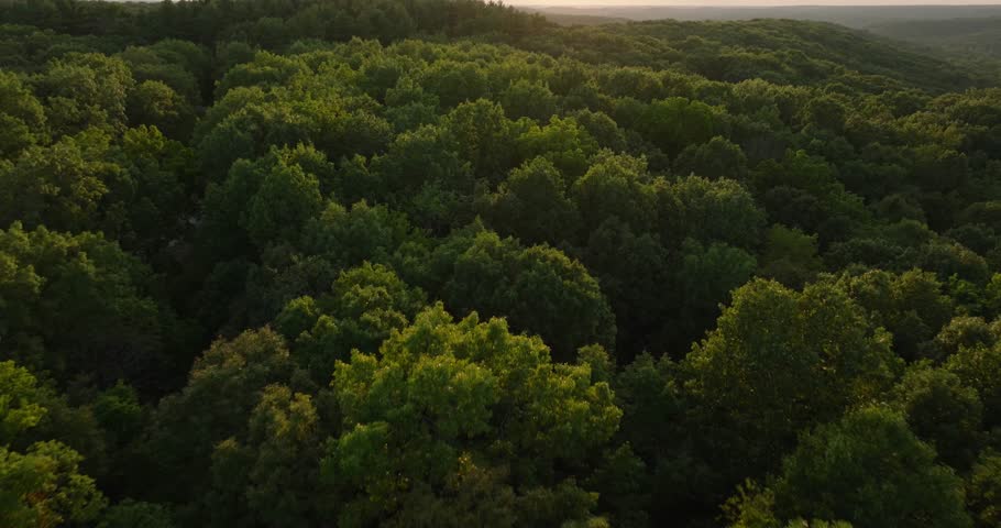 Aerial view of lush forest at sunset in Missouri, USA, serene and peaceful
