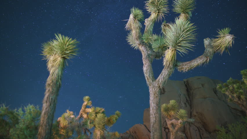Joshua Tree National Park Aurora Airglow and Milky Way Galaxy Over Hidden Valley Northeast Sky 24mm Tilt Up Astrophotography Time Lapse California USA