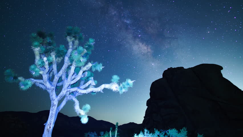 Joshua Tree National Park Milky Way Galaxy Over Intersection Rock and Joshua Tree in South Sky 24mm Astrophotography Time Lapse California USA