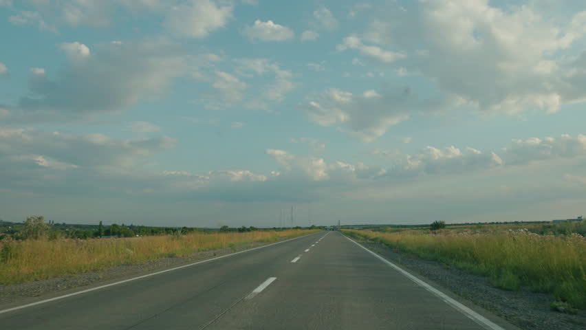 View from a moving car on a country road with a badger suddenly running across, highlighting danger for animals and risk of traffic accidents. High quality 4k footage