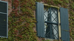 Camera slowly pans across ivy-covered brick wall and classic window with blue shutters, natural daylight - Powered by Shutterstock - Get 15% off with code: PIKWIZARD15