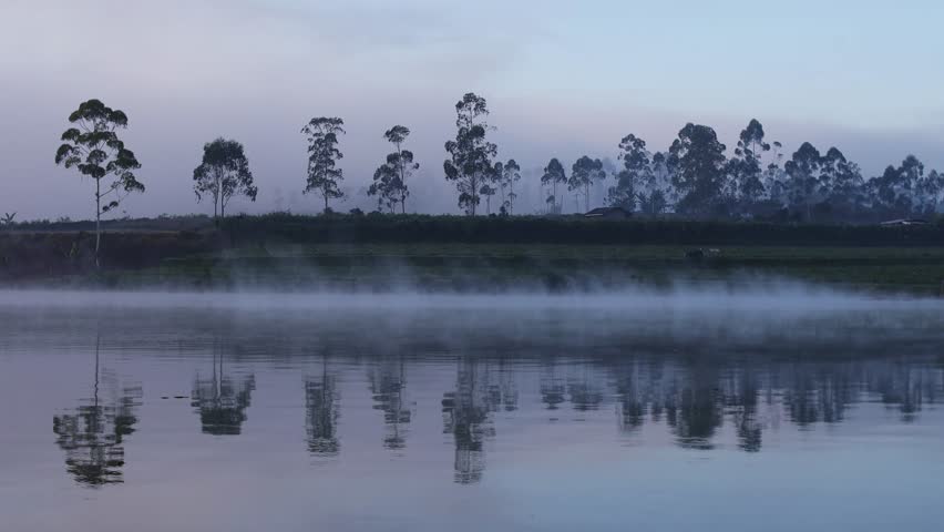 Peaceful early morning in a misty lake with its reflections