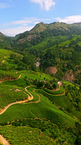 Vertical aerial of a waterfall in middle of tea gardens and hills of Munnar, India