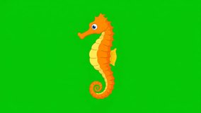 Animated orange seahorse swims on a green screen. Cartoon style, vibrant colors, simple animation. Ideal for educational content or creative projects. - Powered by Shutterstock - Get 15% off with code: PIKWIZARD15