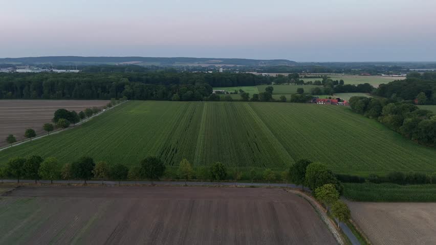Idyllic and lush farm fields in agricultural and rural area of America. Cloudy morning sunrise behind mountains. Aerial wide shot. Growing green corn and cropland. Panorama view. Quiet scene.