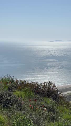 Vertical video of California coast near Los Angeles showing wildflowers hillsides and the sparkling blue ocean horizon on a clear sunny day with scenic views.