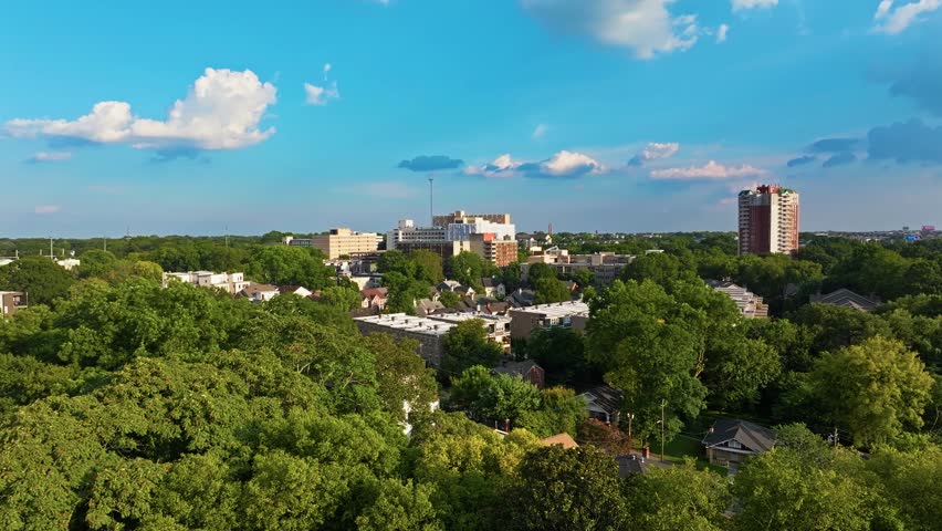 Residential neighbourhood and buildings surrounded by lush greenery, trees under clear blue sky, Atlanta, Georgia, Aerial view