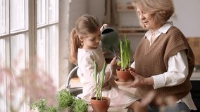 An elderly woman grandmother and a little girl granddaughter take care of and plant potted plants inside the house, do gardening in the spring for Earth Day - Powered by Shutterstock - Get 15% off with code: PIKWIZARD15