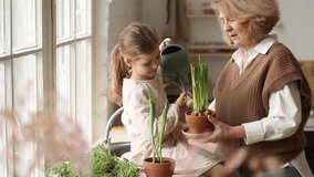 An elderly woman grandmother and a little girl granddaughter take care of and plant potted plants inside the house, do gardening in the spring for Earth Day - Powered by Shutterstock - Get 15% off with code: PIKWIZARD15