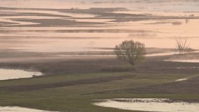 Spring river flood with fog and trees. Aerial video from a foggy spring morning showing a flooded field with a lone tree surrounded by water after the snow melts - Powered by Shutterstock - Get 15% off with code: PIKWIZARD15