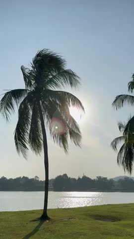 A scenic view of a tranquil lake with lush green grass and towering palm trees. The golden sun shines brightly, creating a beautiful lens flare effect and casting a warm glow over the water