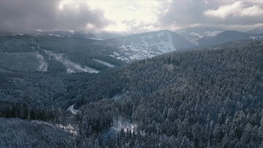 Aerial Winter Landscape Snowy Mountains Evergreen Forest Trees Valley View Nature Scenery Cold Climate Hillside Hiking Trails Wilderness Beauty