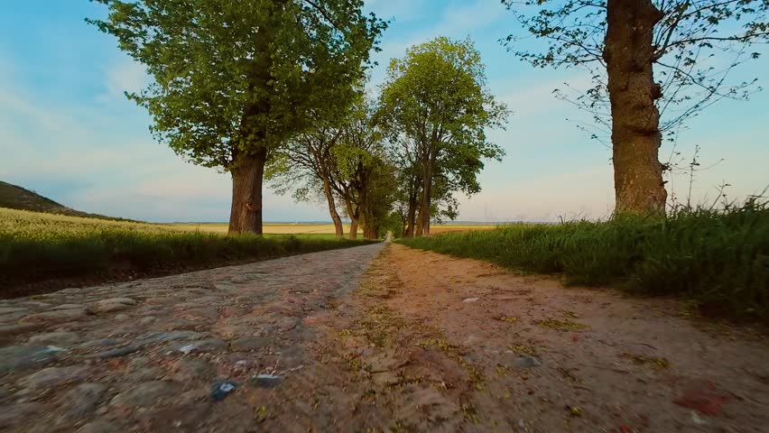 POV car driving down cobblestone road surrounded by countryside at sunset. Vehicle moving along rural stone path in warm evening light, point of view perspective. Sunset ride over bumpy road between