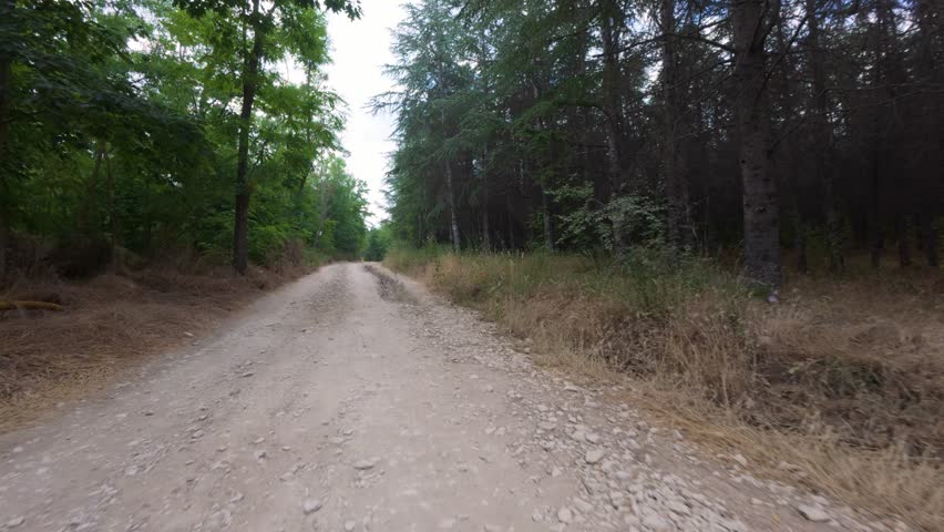 POV video from moving car driving on rough dirt road through forest, surrounded by green trees and natural landscape, off-road adventure