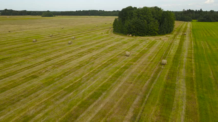 Aerial flyover over fresh brown hay bale rolls on a grassy brown farm field during cloudy day.