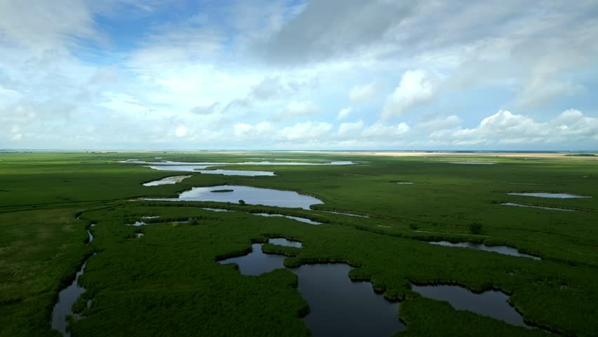 Drone captures wetlands, ponds, and horizon beneath a blue sky