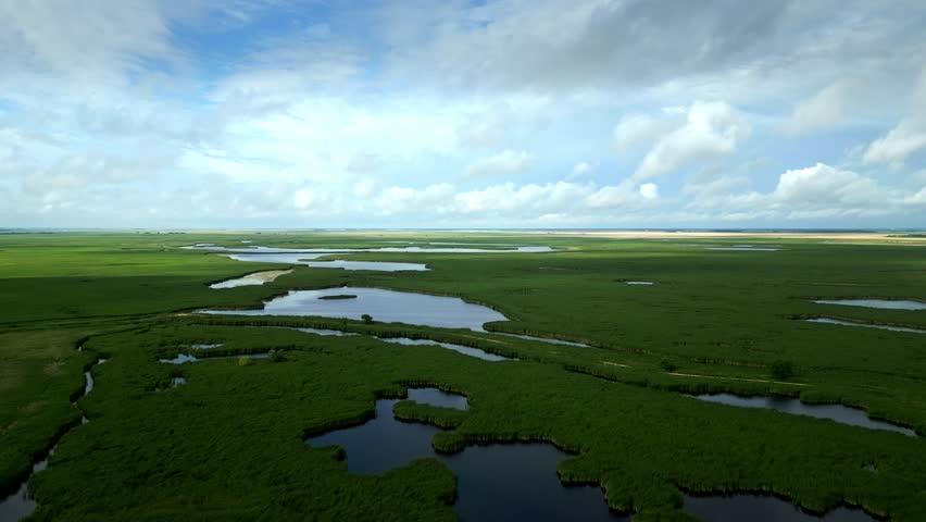Drone Timelapse Over Summer Wetlands under Moving Clouds, Northern Canada
