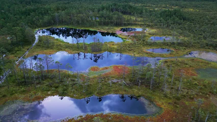 Autumn beauty fills Viru Bog where moss covers wide areas of land and pine trees stand beside clear bog lakes while the drone captures a northern wetland full of golden light.