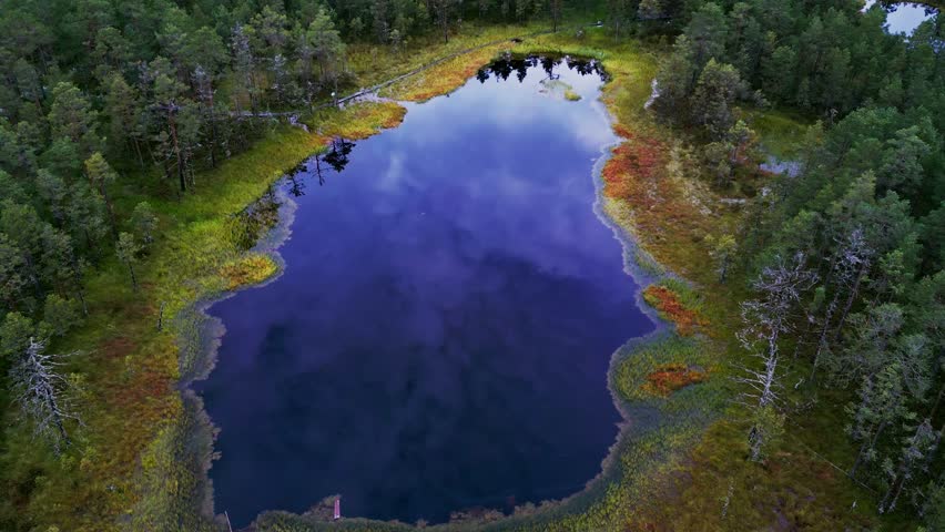 In autumn Viru Bog becomes a striking view with moss shining in rich tones and pine trees scattered across the wetlands near bog lakes reflecting the quiet northern sky.