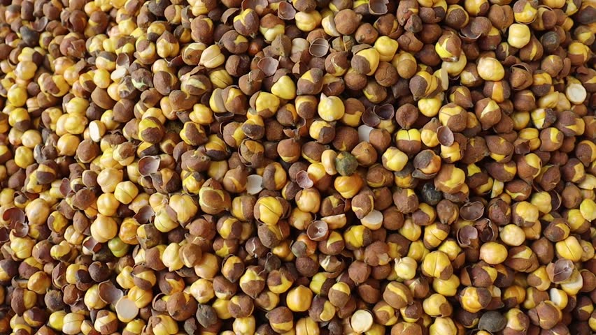Roasted chickpeas close up 4k stock video showing textured kernels and rustic earthy tones