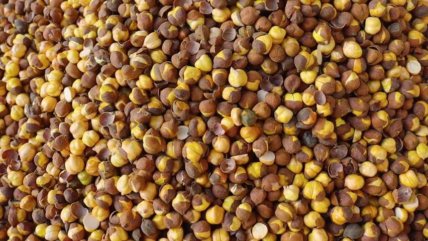 Roasted chickpeas close up 4k stock video showing textured kernels and rustic earthy tones
