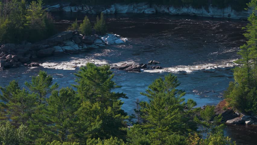 Aerial view over pine trees towards rapids and a bend in the river against the rocky banks.