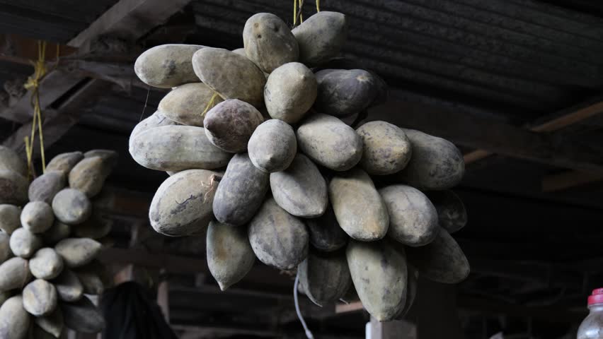 Bundles of Baobab Fruit Hanging from a Market Roof