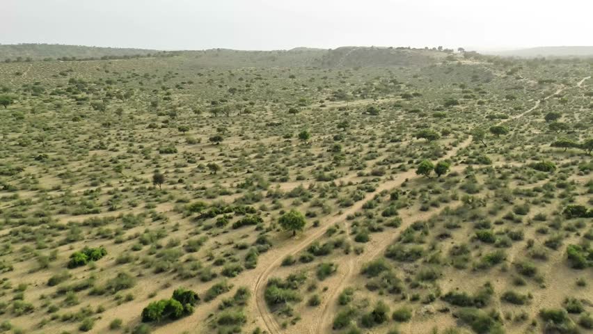 Aerial drone view of desert landscape with bushes.