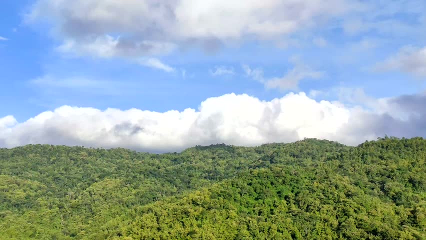 Lush green hills covered in dense forest under a clear blue sky filled with thick, fluffy white clouds.
