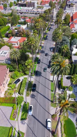 Vertical Drone Shot Over Palm-Lined Street in Beverly Hills, California, April 15, 2025