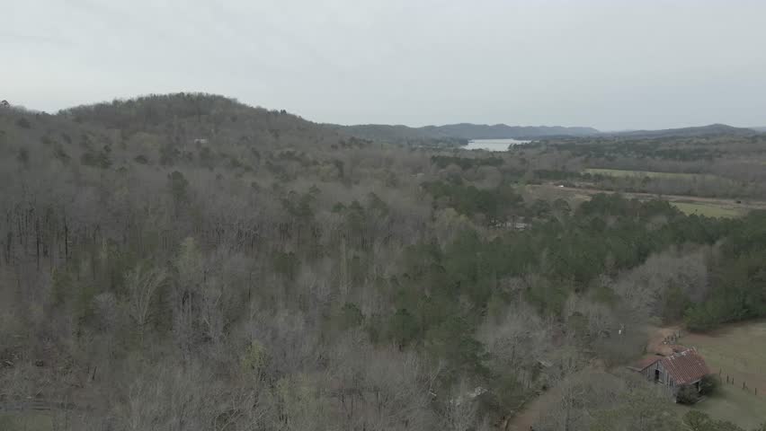 Alabama Woods outside of birmingham 